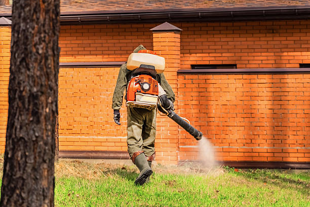 Trusted Bed Bug Control service in Eudora, AR - Nex Pest Control